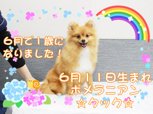 ６月で１歳になりました♪